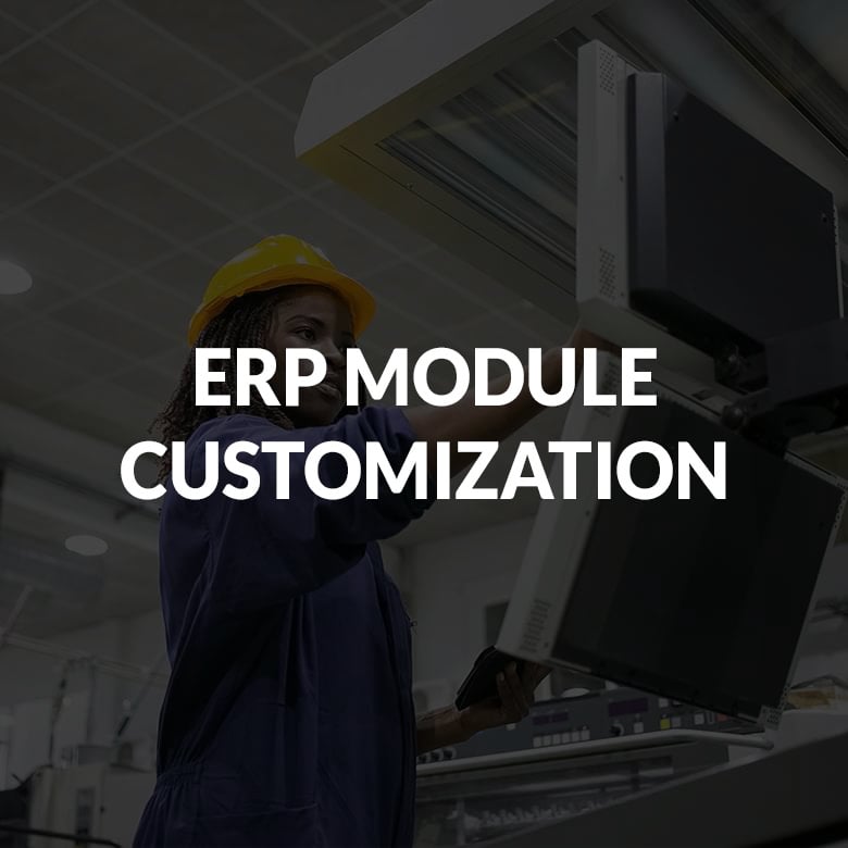 ERP MODULE CUSTOMIZATION