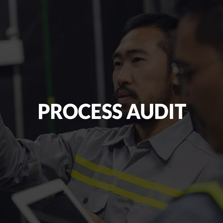 PROCESS AUDIT