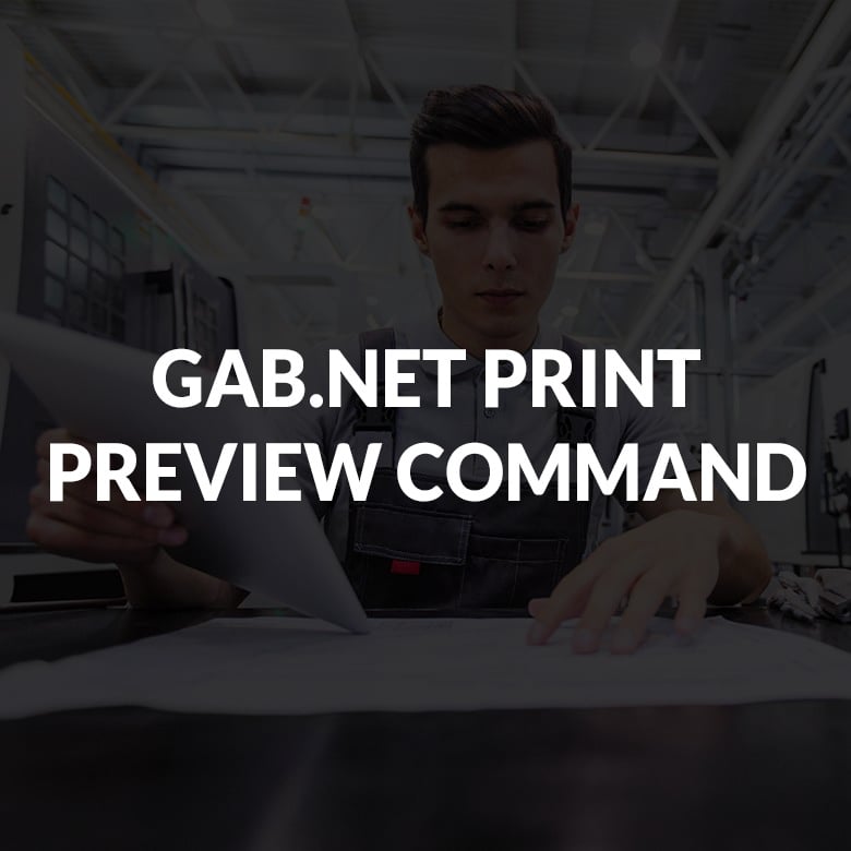 New Products Gab Net Print Preview Command