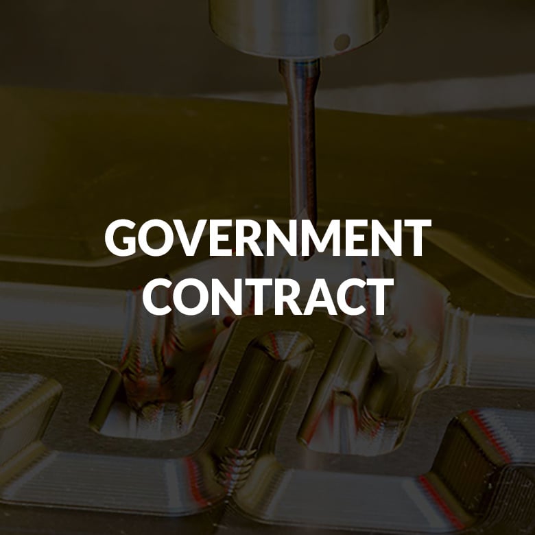 GOVERNMENT CONTRACT